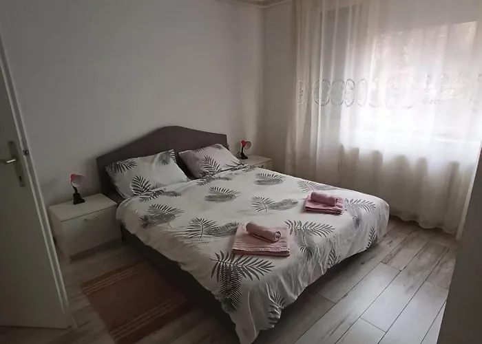 Vesna 巴尼西卢卡